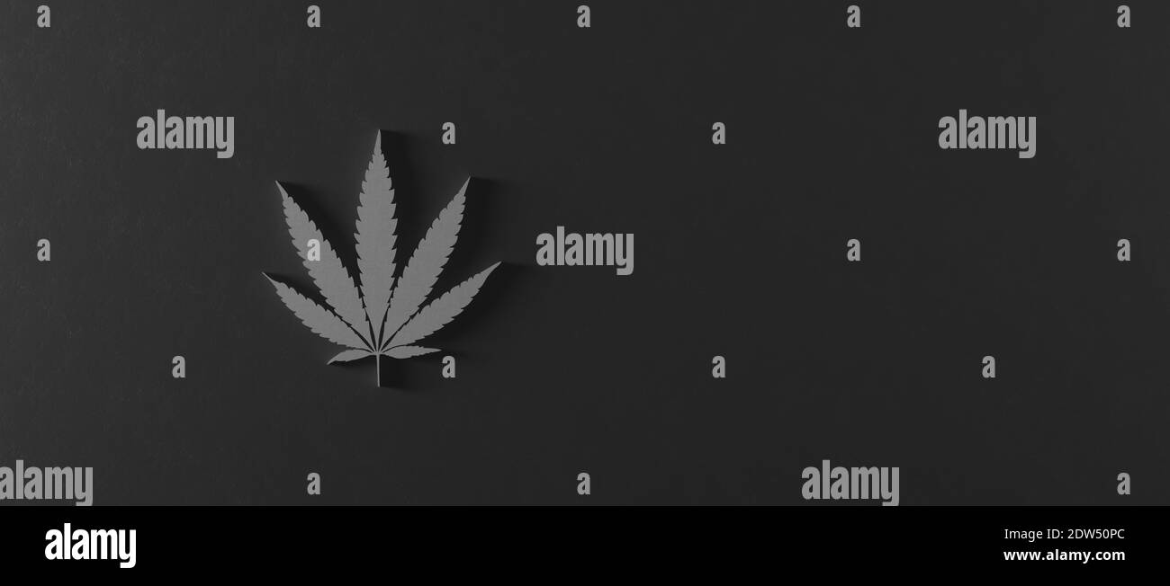White cannabis leaf on black concrete background 3d render 3d illustration Stock Photo