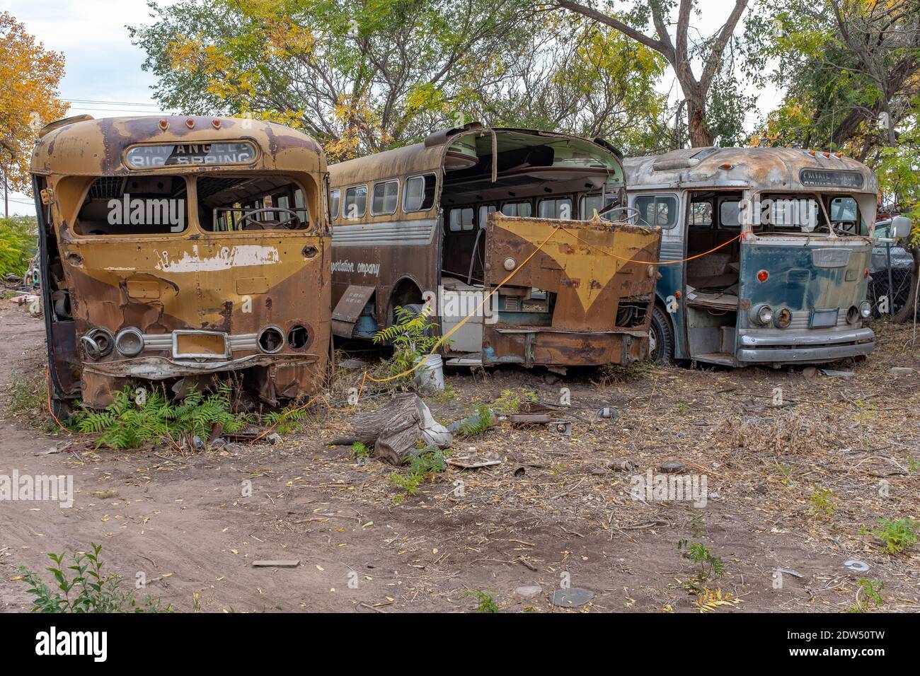 liquidation of an Albuquerque, New Mexico auto junkyard Stock Photo Alamy