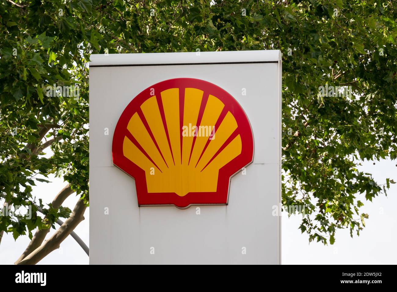 BERLIN, GERMANY - JUNE 9, 2020: Shell Logo In Front of A Tree In Summer Stock Photo