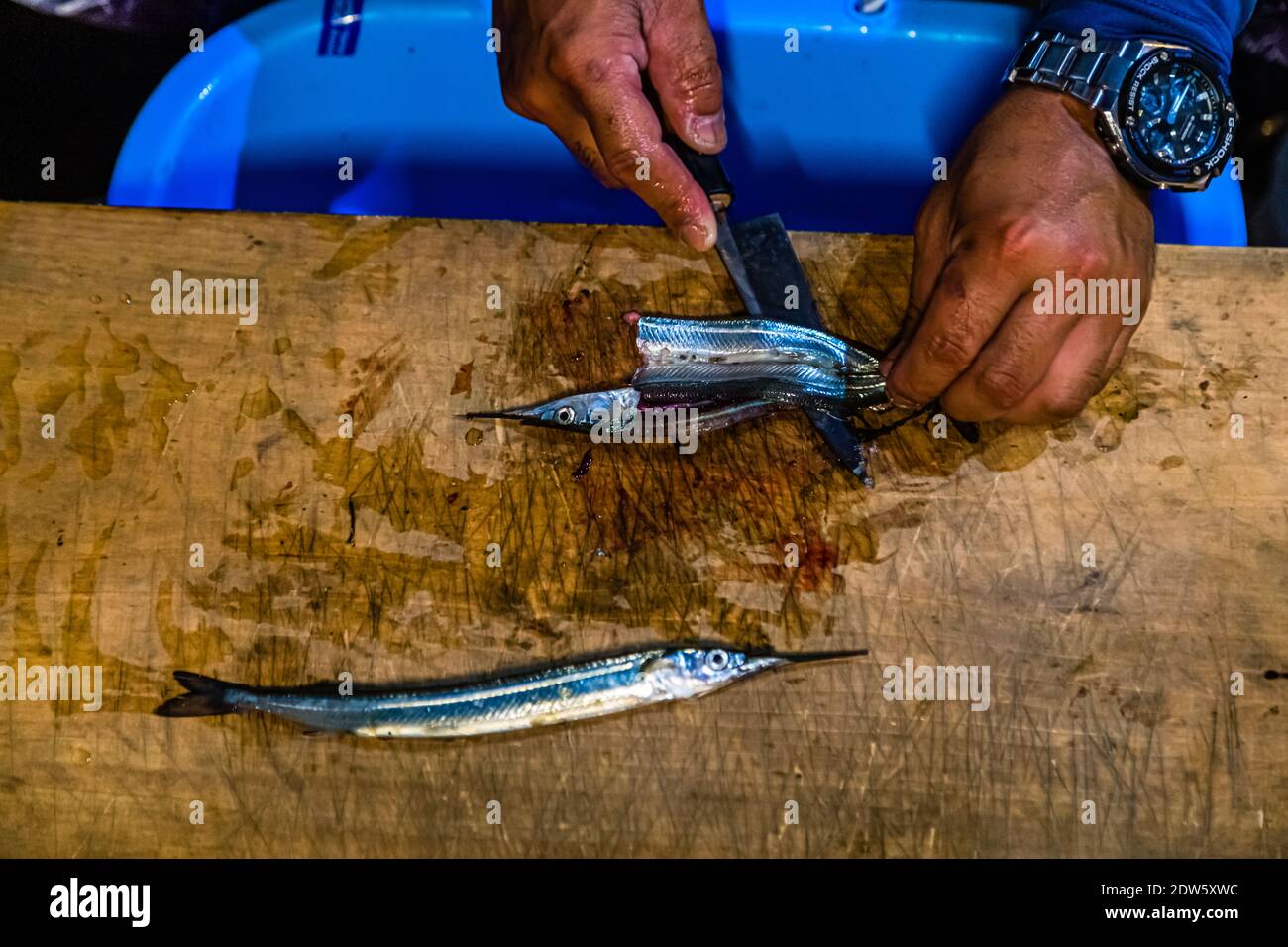 Spearfishing on Lake Hanama, Hamamatsu, Japan Stock Photo