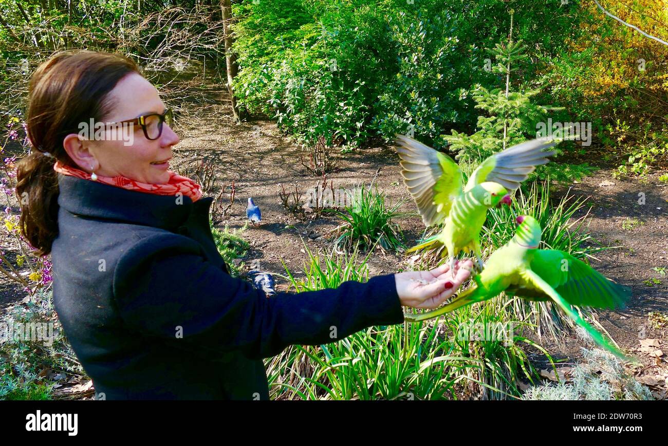 Side View Of Smiling Mature Woman Feeding Birds In Forest Stock Photo