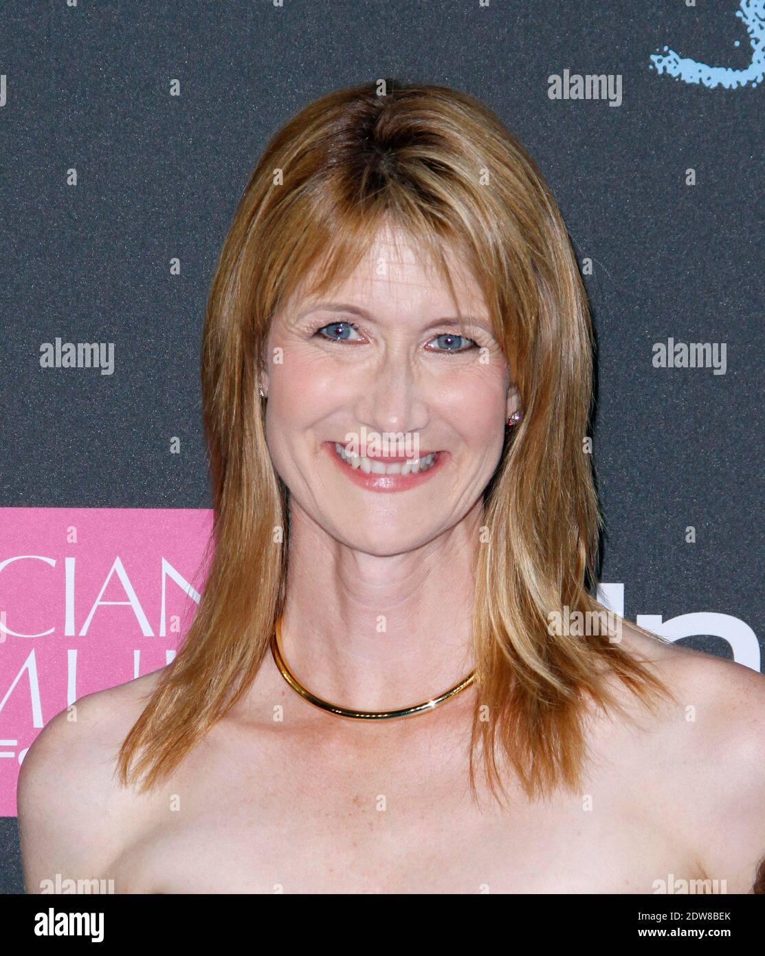 Laura Dern attends The Fault in Our Stars premiere at the Ziegfeld