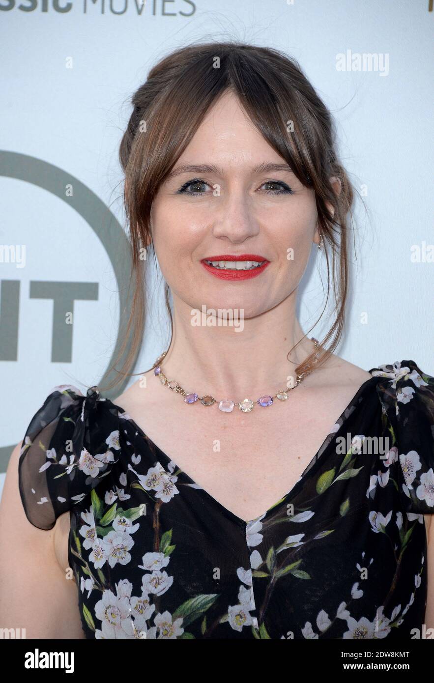 Emily Mortimer attends the 2014 AFI Life Achievement Award: A Tribute