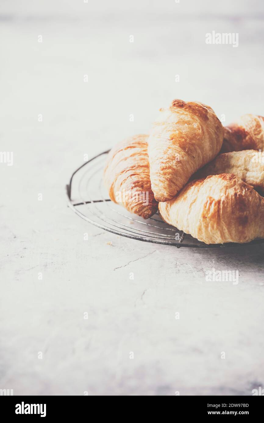 Fresh croissants on light grey concrete background, space for text Stock Photo
