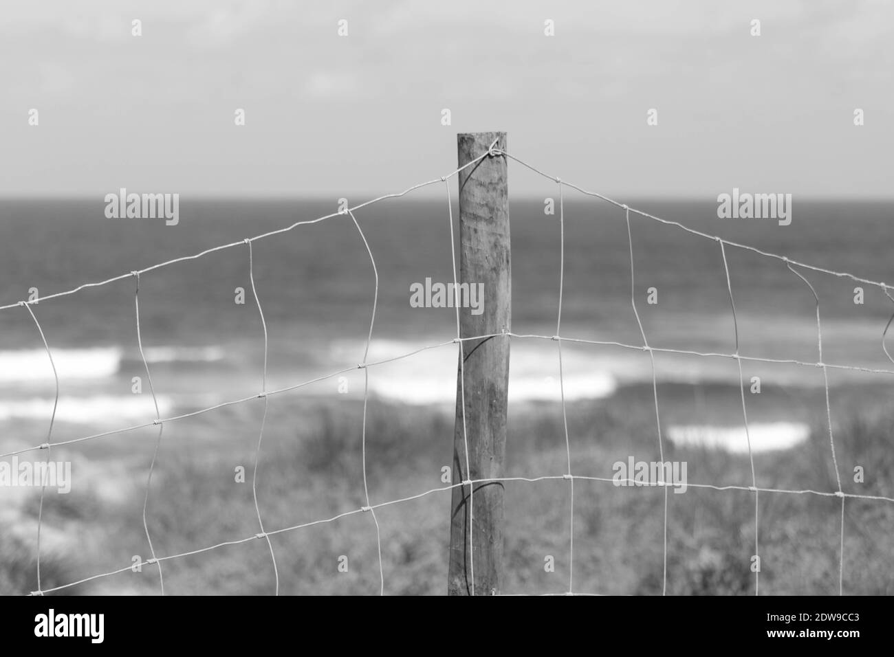 Barbed wire wooden fence Black and White Stock Photos & Images - Alamy