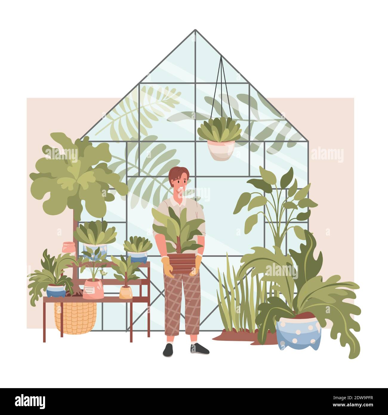 Plants shop interior vector flat design. Happy smiling man in casual clothes and gloves holding pot with tree and sales domestic plants. Shelves with green home plants. Agriculture gardener hobby. Stock Vector