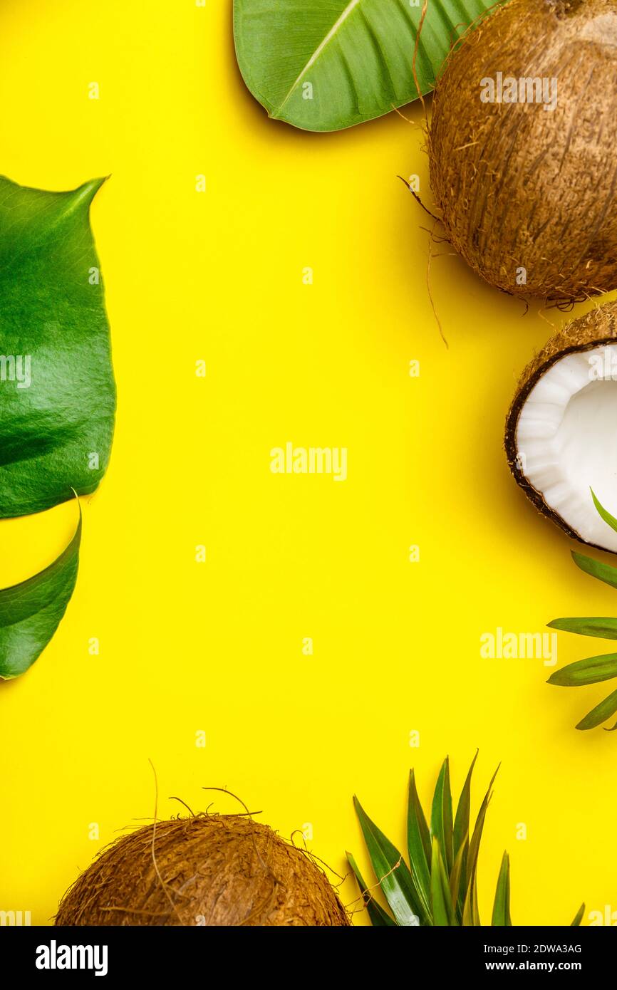 Coconuts and tropical leaves on yellow background, copyspace, flat lay Stock Photo