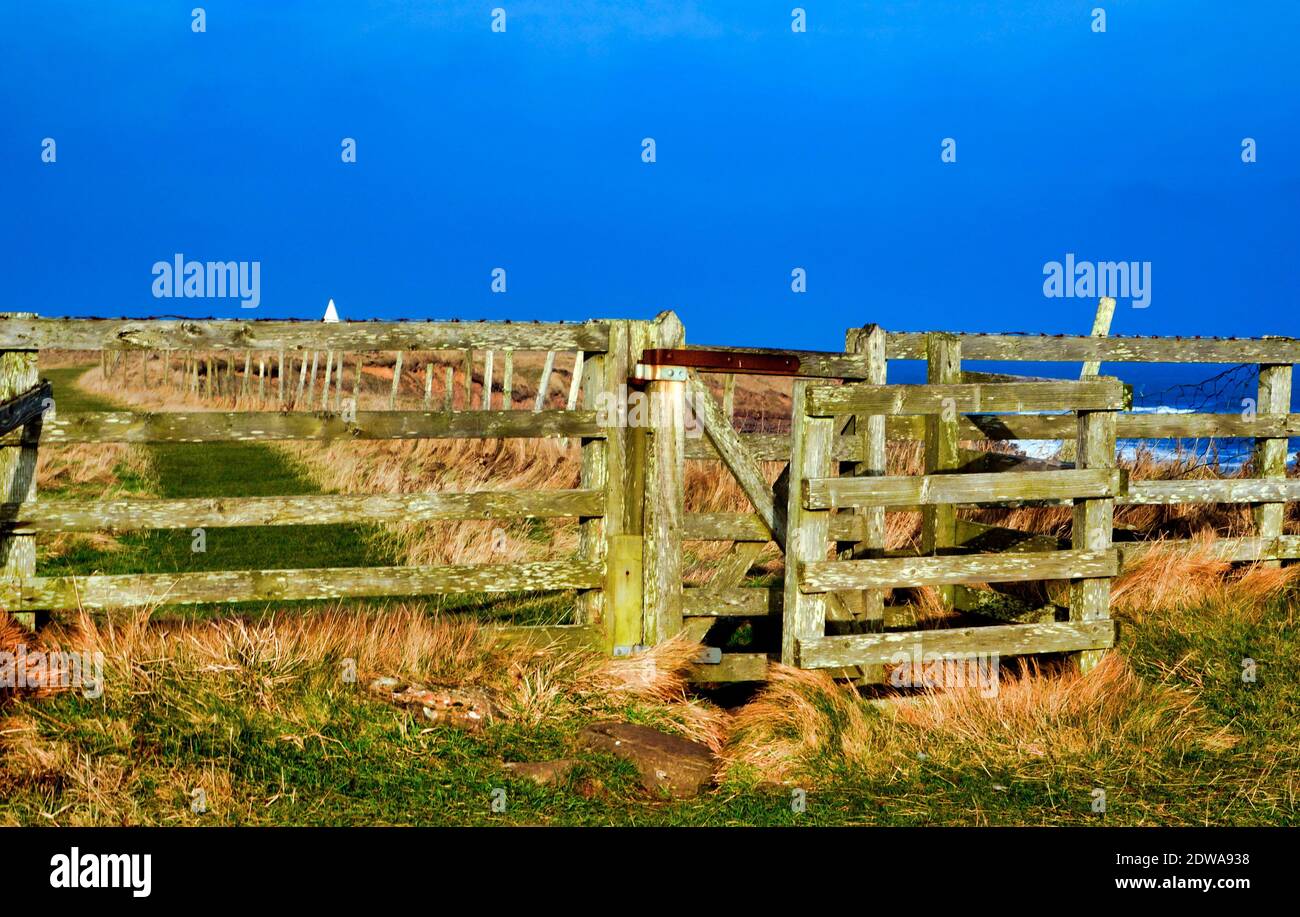 Farm gates on holy Island leading to the beacon at Emmanuel head Stock