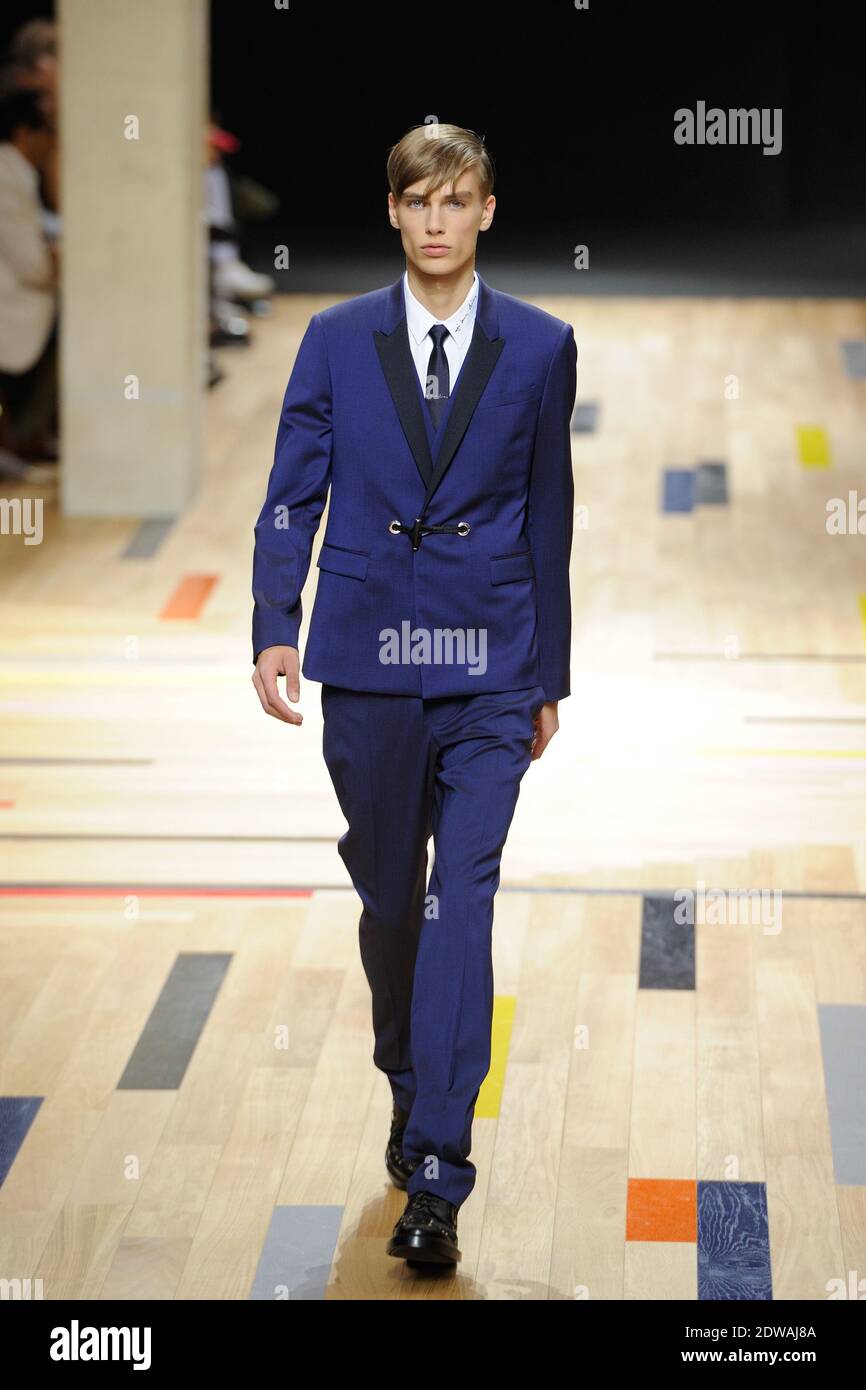 dior kris van assche