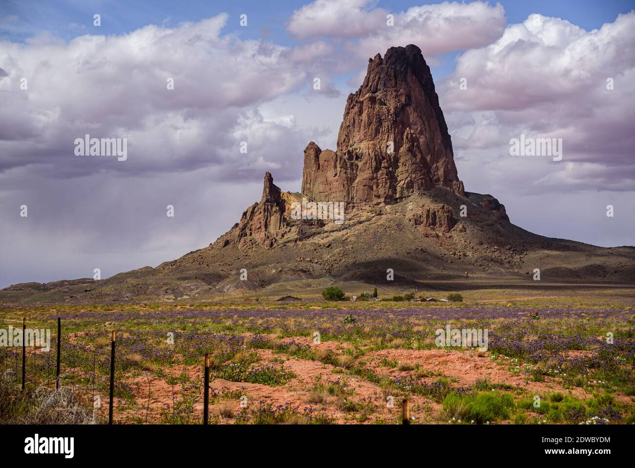 One of the first monuments seen in Monument Valley. The composition has balance with the fence in the foreground.  Awesome directional lighting Stock Photo