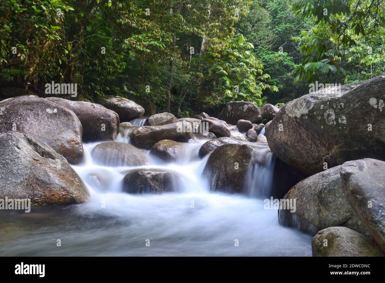 Scenic View Of Waterfall In Forest Stock Photo - Alamy