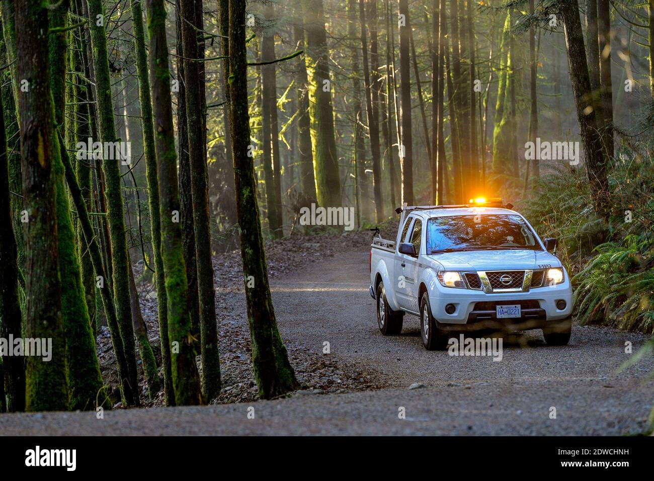 Light rays through forest, Capilano River Regional Park, North Vancouver, British Columbia, Canada. Stock Photo
