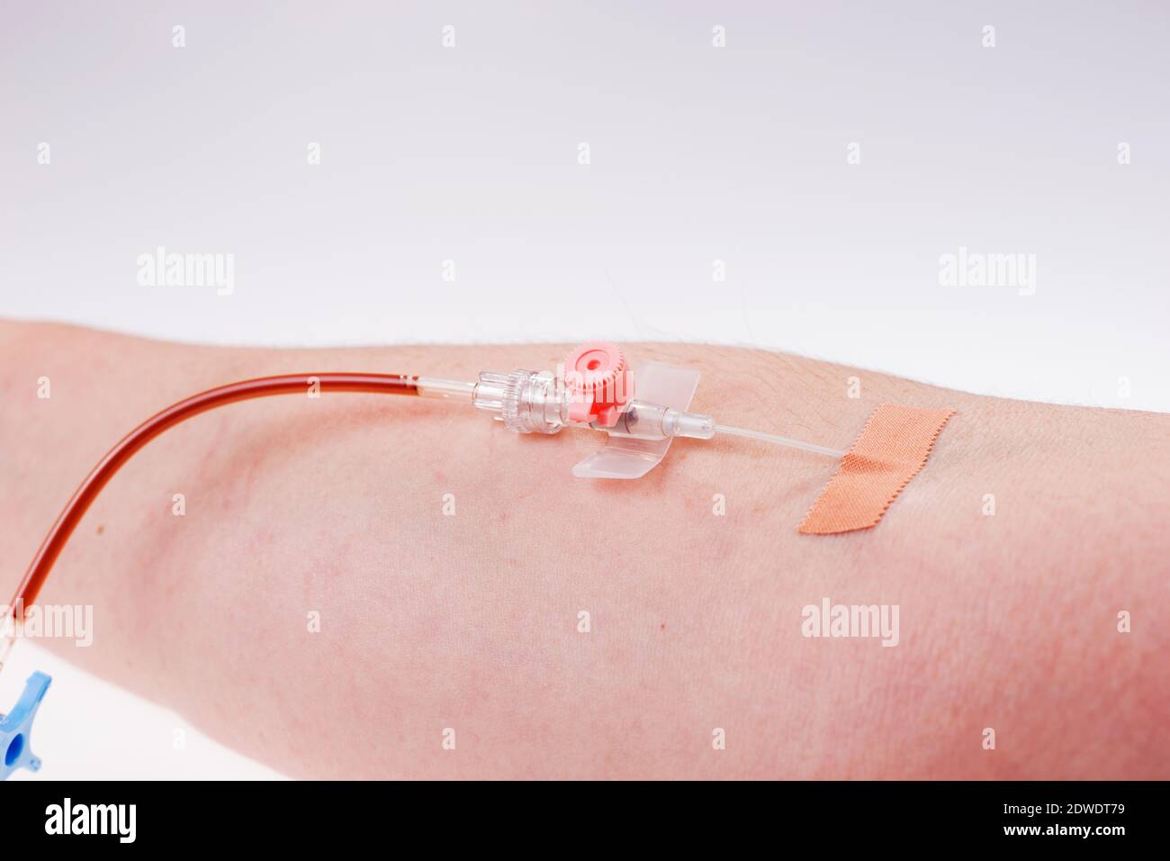 Cropped Hand Of Person Donating Blood Against White Background Stock Photo