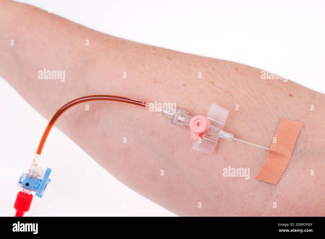 Cropped Hand Of Person Donating Blood Against White Background Stock Photo