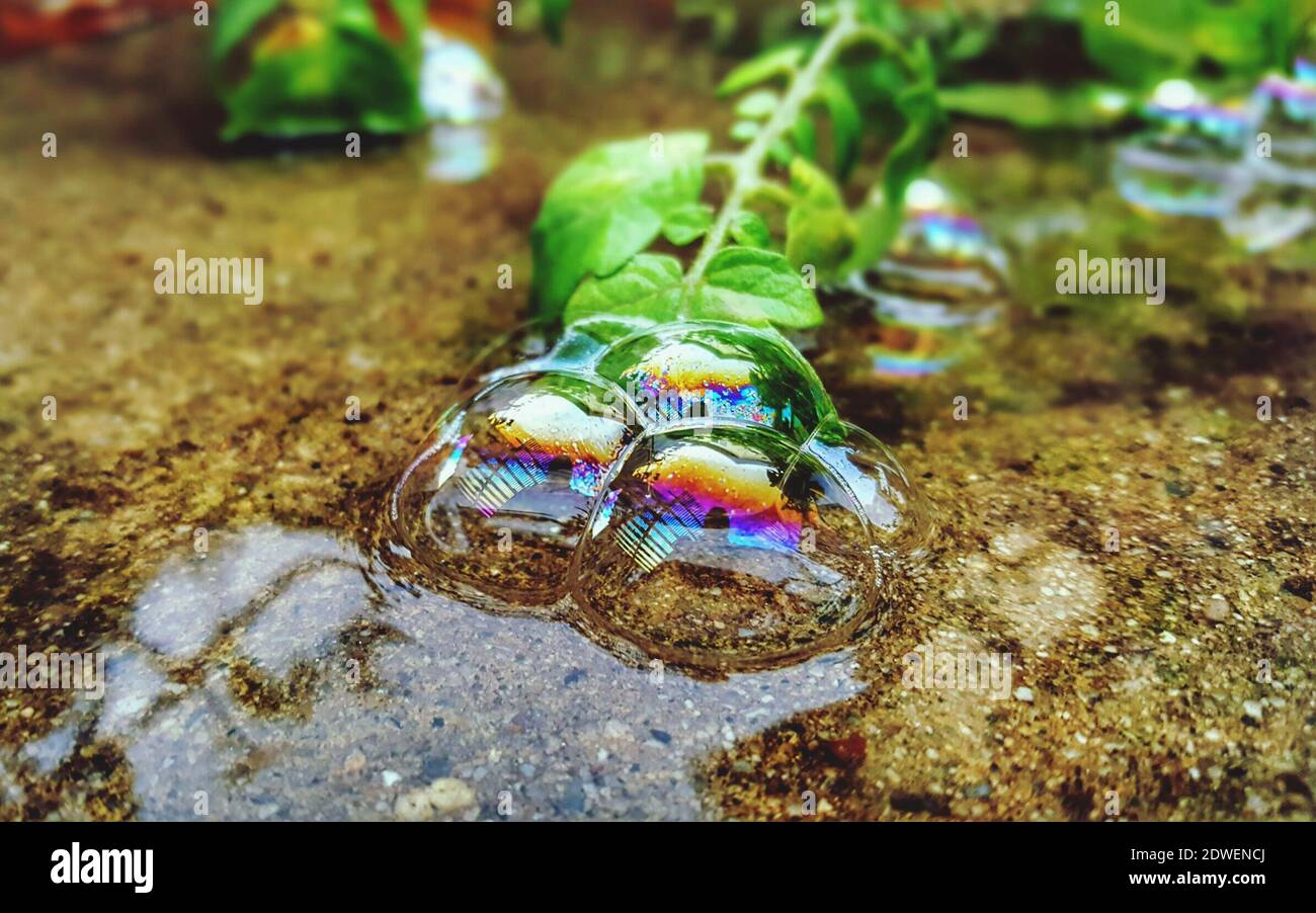 Closeup Of Rain Bubbles Stock Photo Alamy