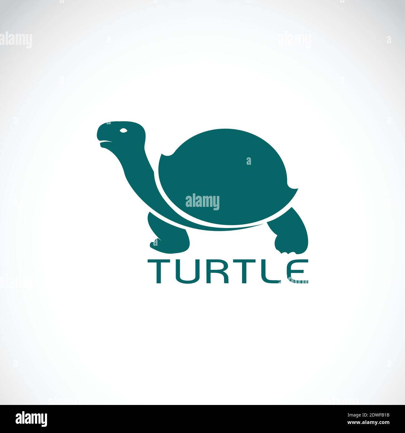 Vector of turtle design on white background. Easy editable layered vector illustration. Wild Animals. Stock Vector