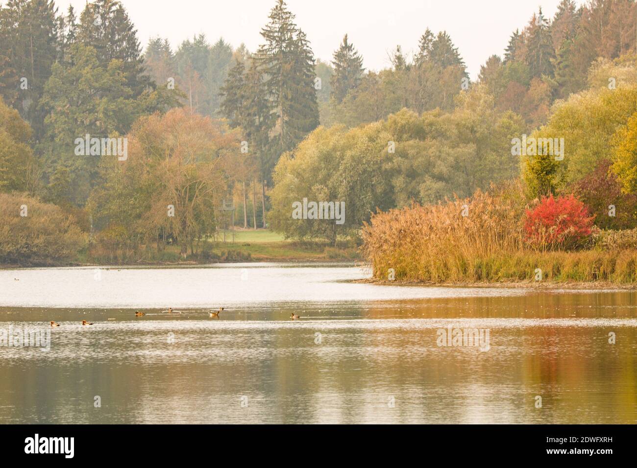 Scenic View Of Lake During Autumn Stock Photo