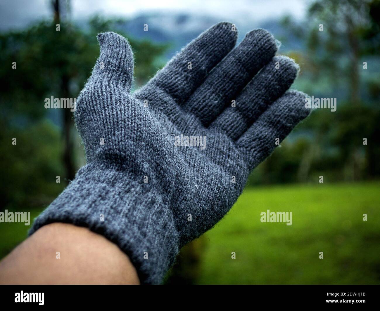 Close-up Of Person Wearing Glove During Winter Stock Photo