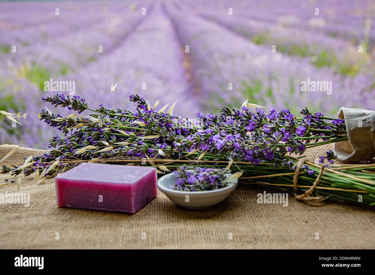 Dry lavender flower in a basket hi-res stock photography and images - Alamy