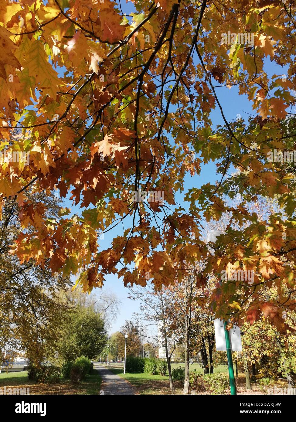 Tychy Poland High Resolution Stock Photography And Images Alamy