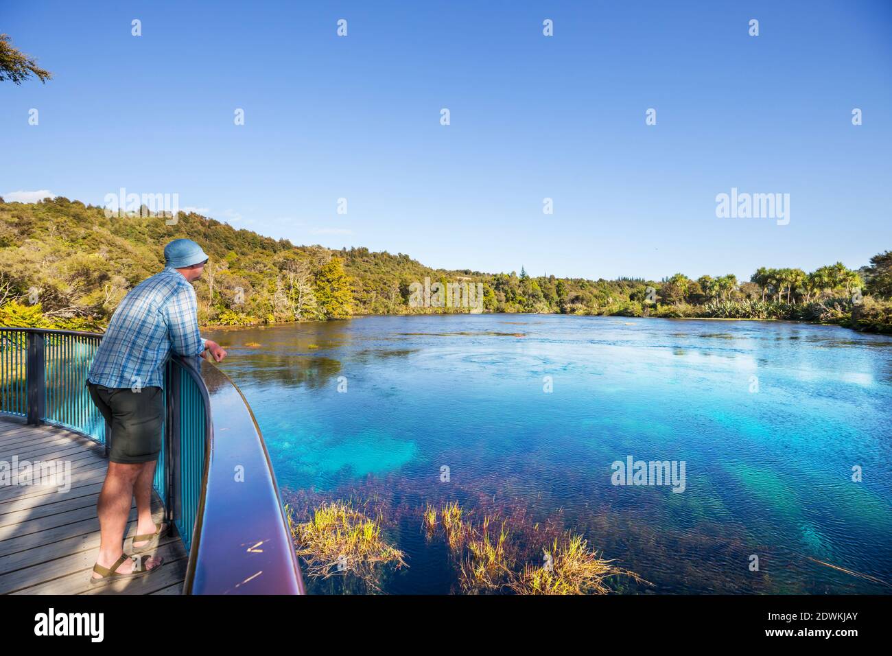 Unusual blue spring in New Zealand. Beautiful natural landscapes Stock ...