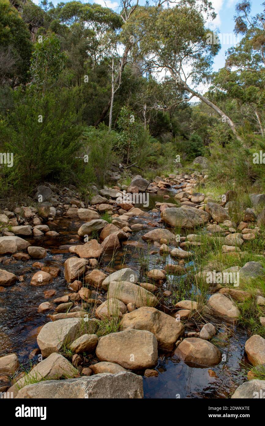 Australian creek victoria hires stock photography and images Alamy