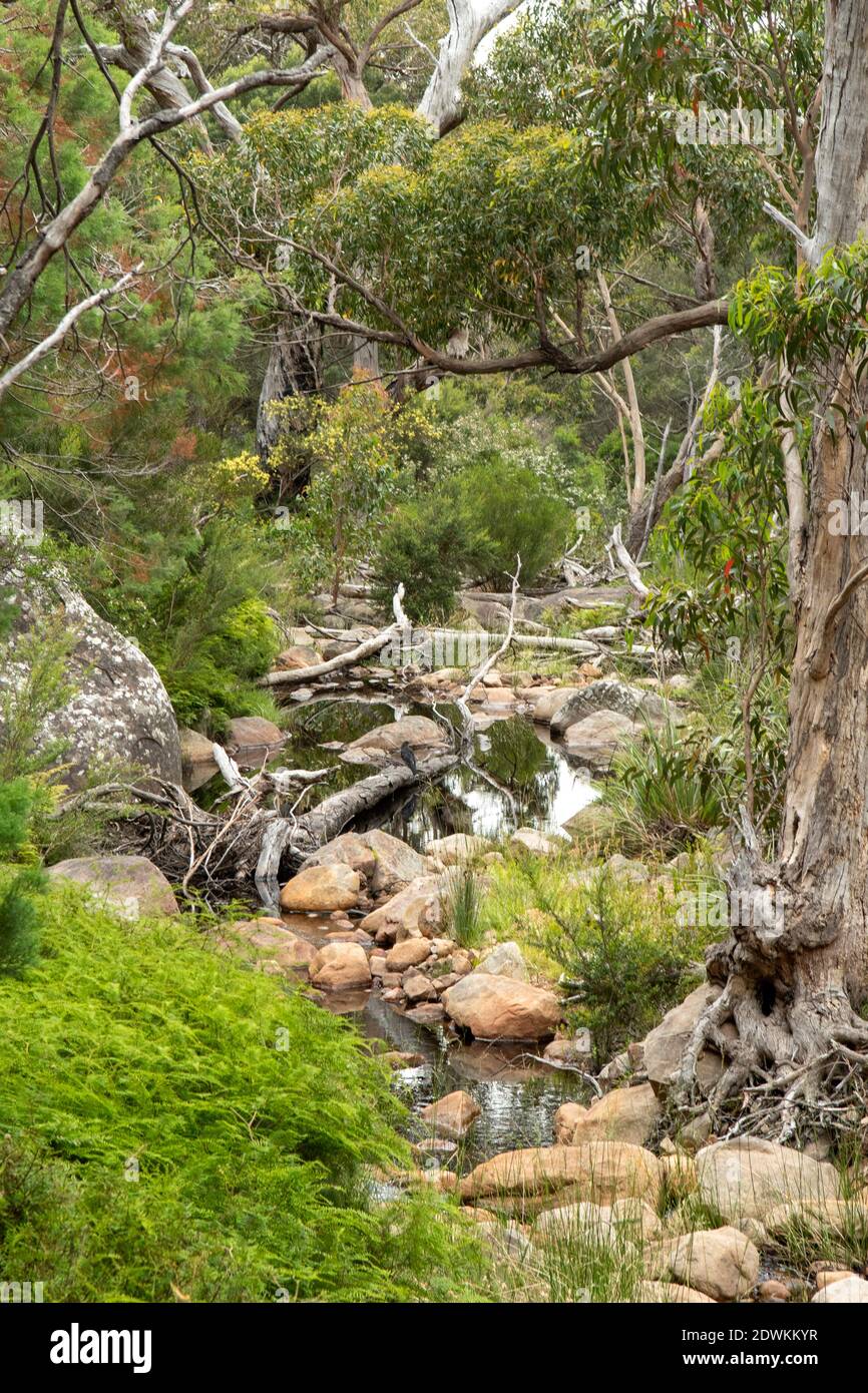 Stoney creek hi-res stock photography and images - Alamy