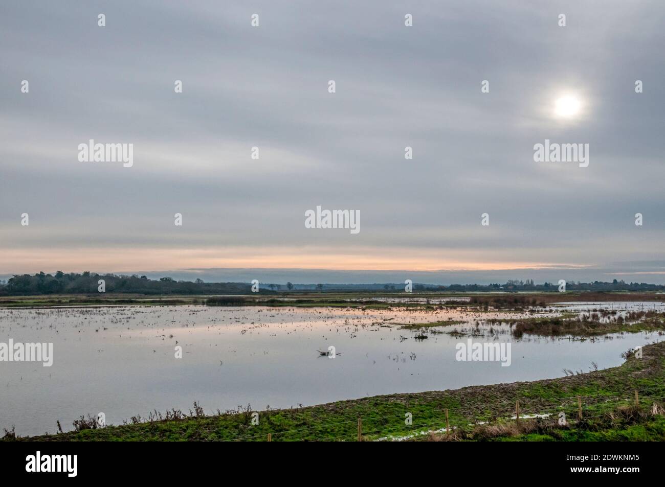 Flooded freshwater marsh behind the shore of the Wash at Snettisham, Norfolk. Stock Photo