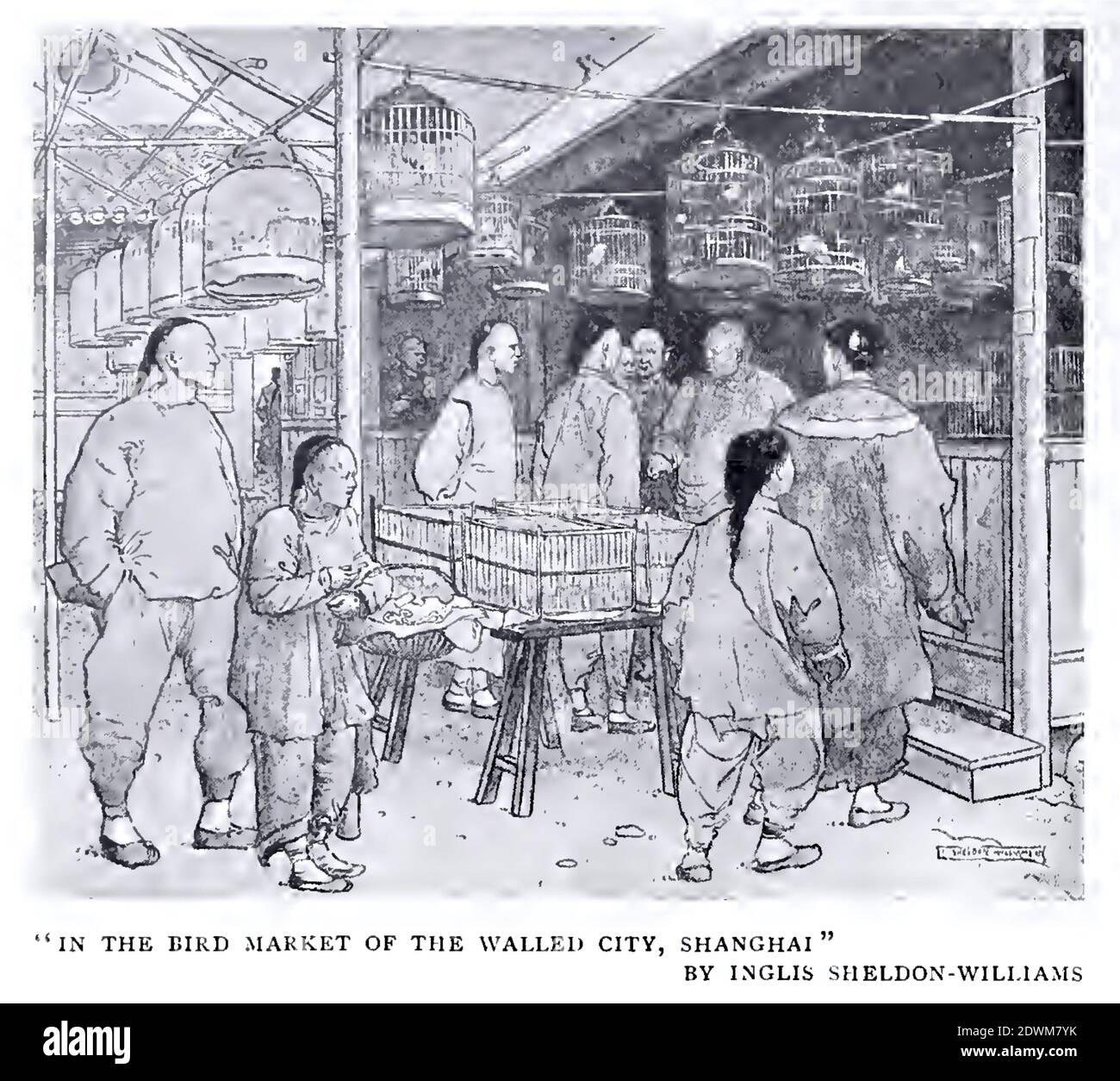 Vintage antique illustration called In the Bird Market of the Walled City, Shanghai by anglo-canadiana Inglis Sheldon Williams. Stock Photo