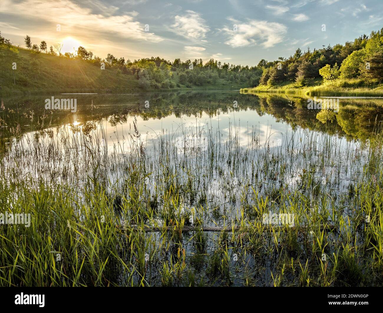 Caledon Forest High Resolution Stock Photography and Images Alamy