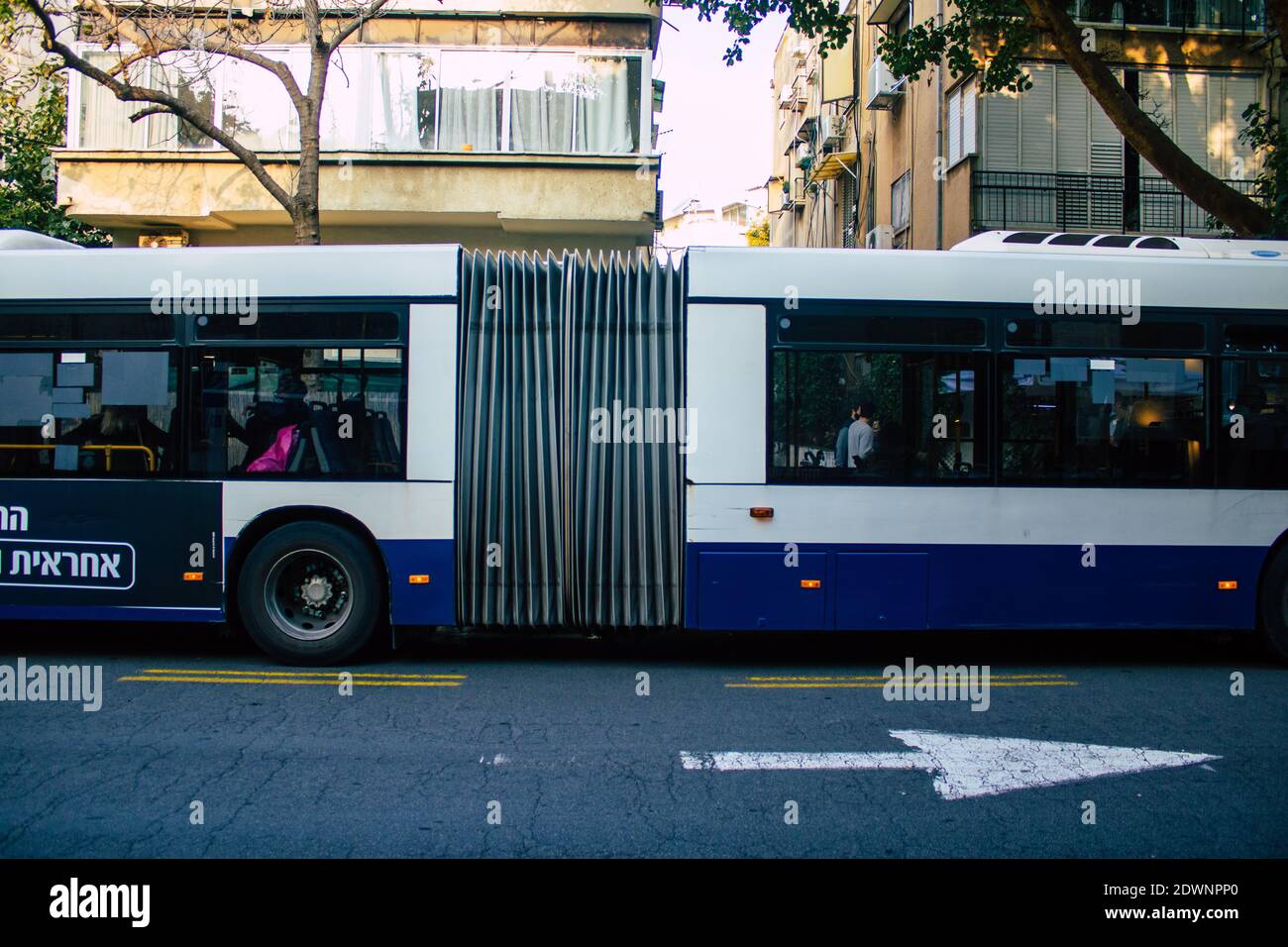 Israel tel aviv bus driver hi-res stock photography and images - Alamy