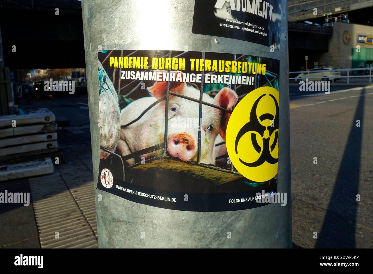 Sticker, pandemic through animal exploitation, recognizing connections, Berlin, Germany Stock Photo