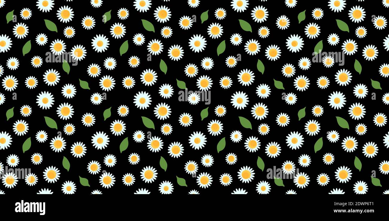 Chamomile flowers with leaf seamless pattern on black background ...