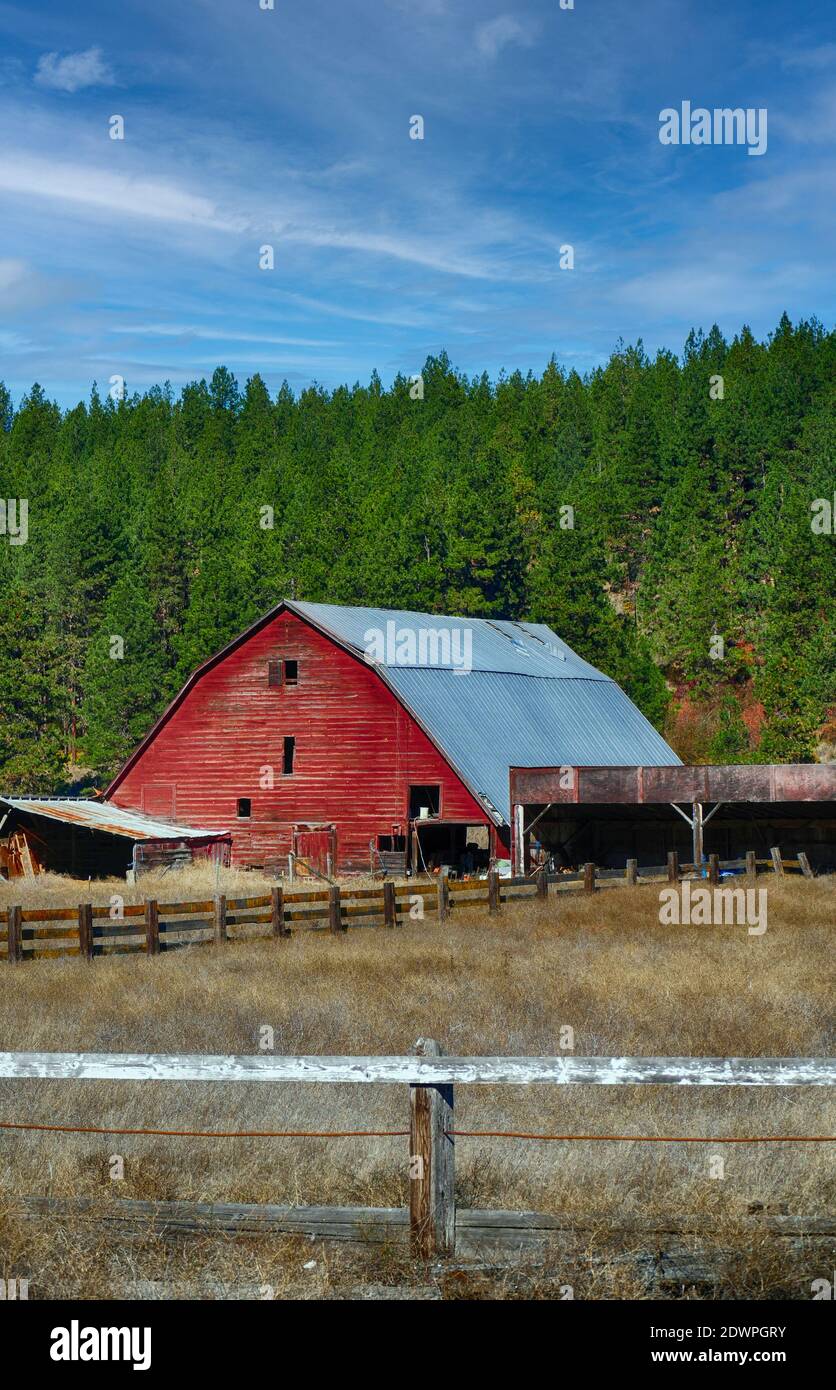 A vertical shot of an old red wooden barn with fences in a meadow in Eastern Washington Stock Photo