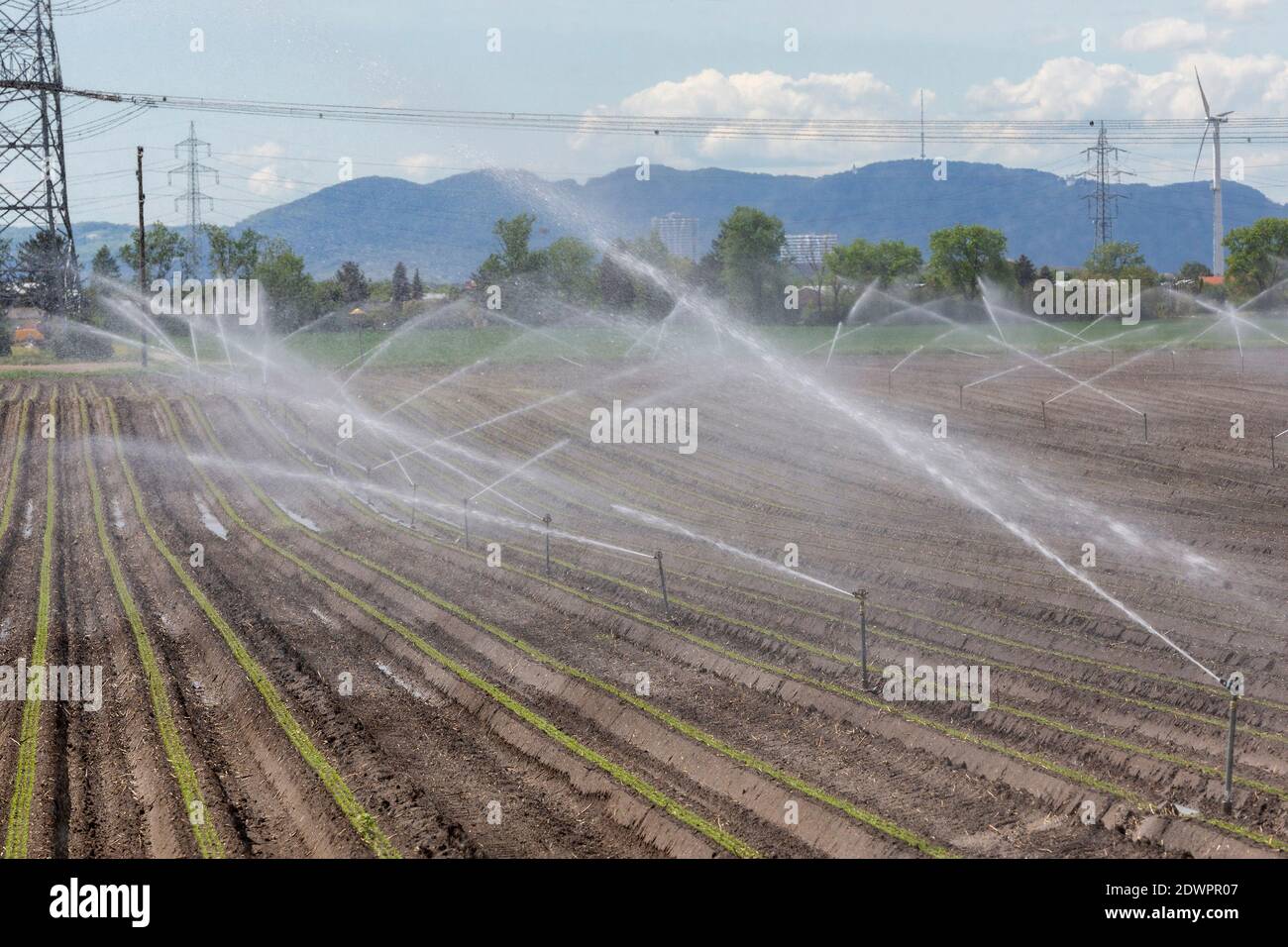 Feldbewässerung Stock Photo
