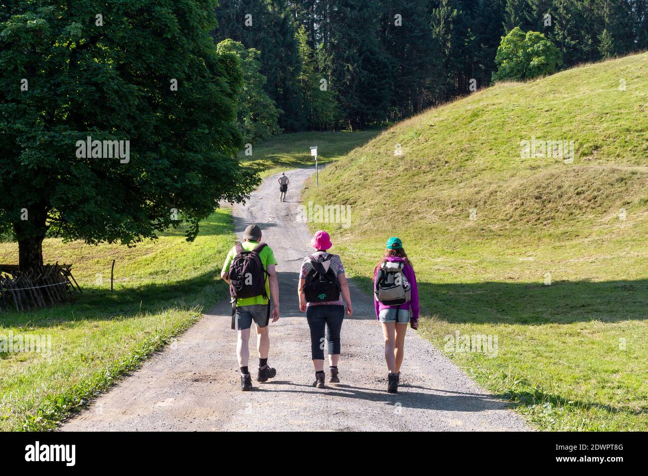 Wanderer, Wanderung im Bregenzerwald, Österreich Stock Photo