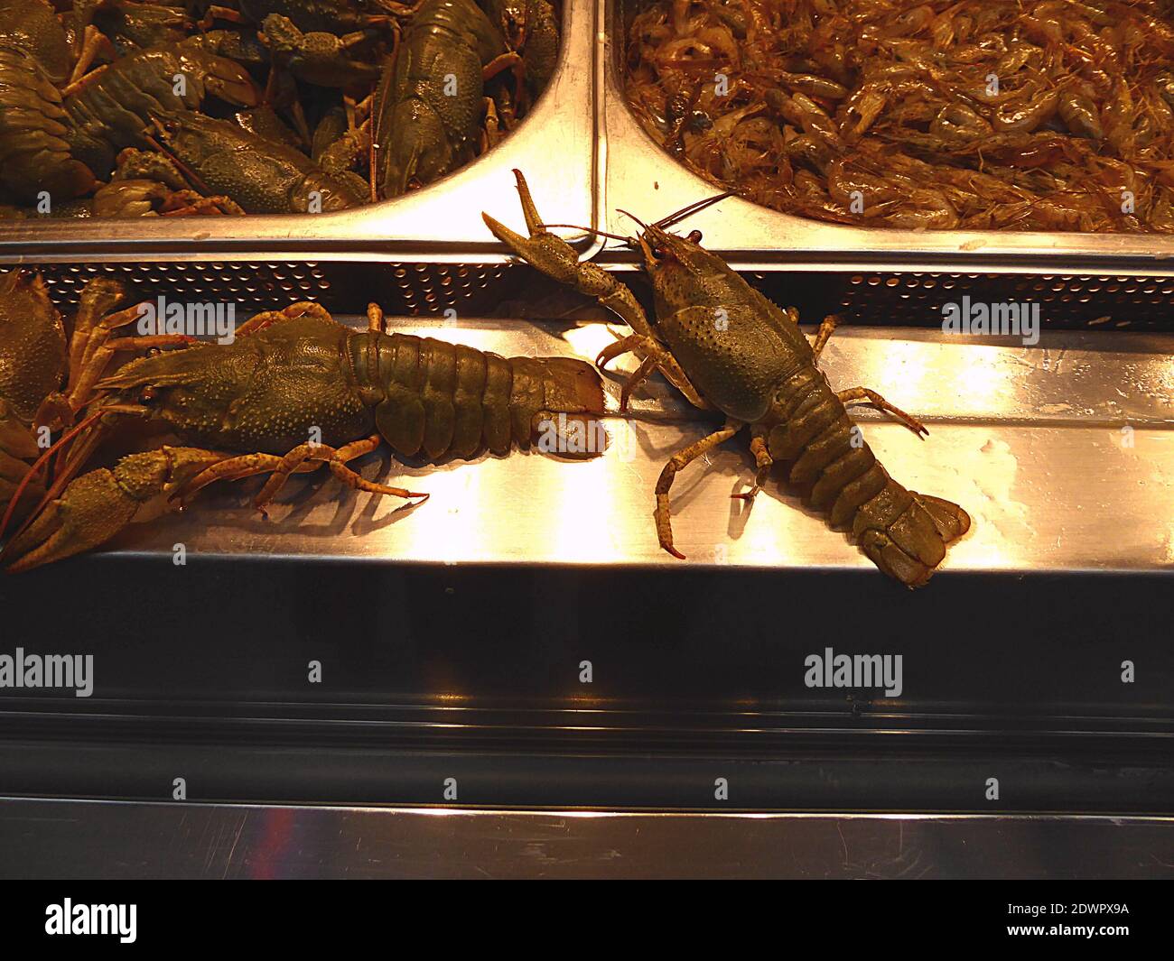 Lobsters In A Montre In Italy Stock Photo Alamy