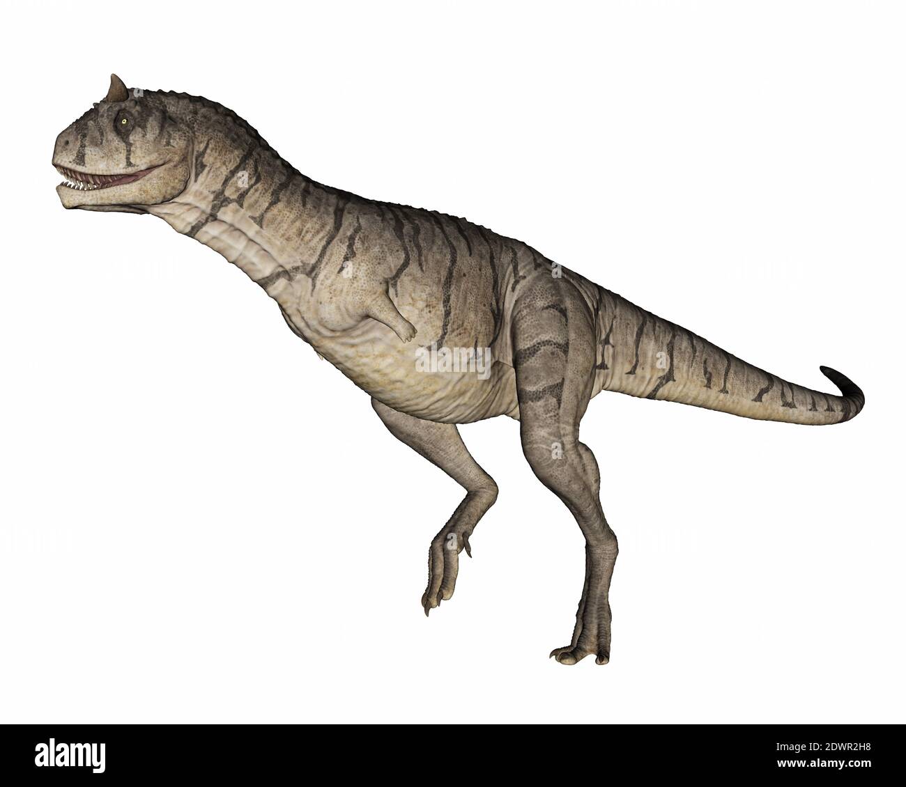 Carnotaurus dinosaur - 3D render Stock Photo