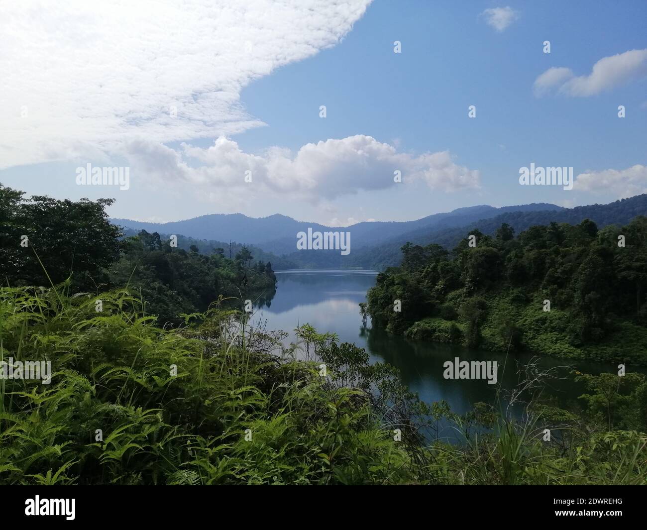 Scenic View Of Lake In Forest Against Sky Stock Photo