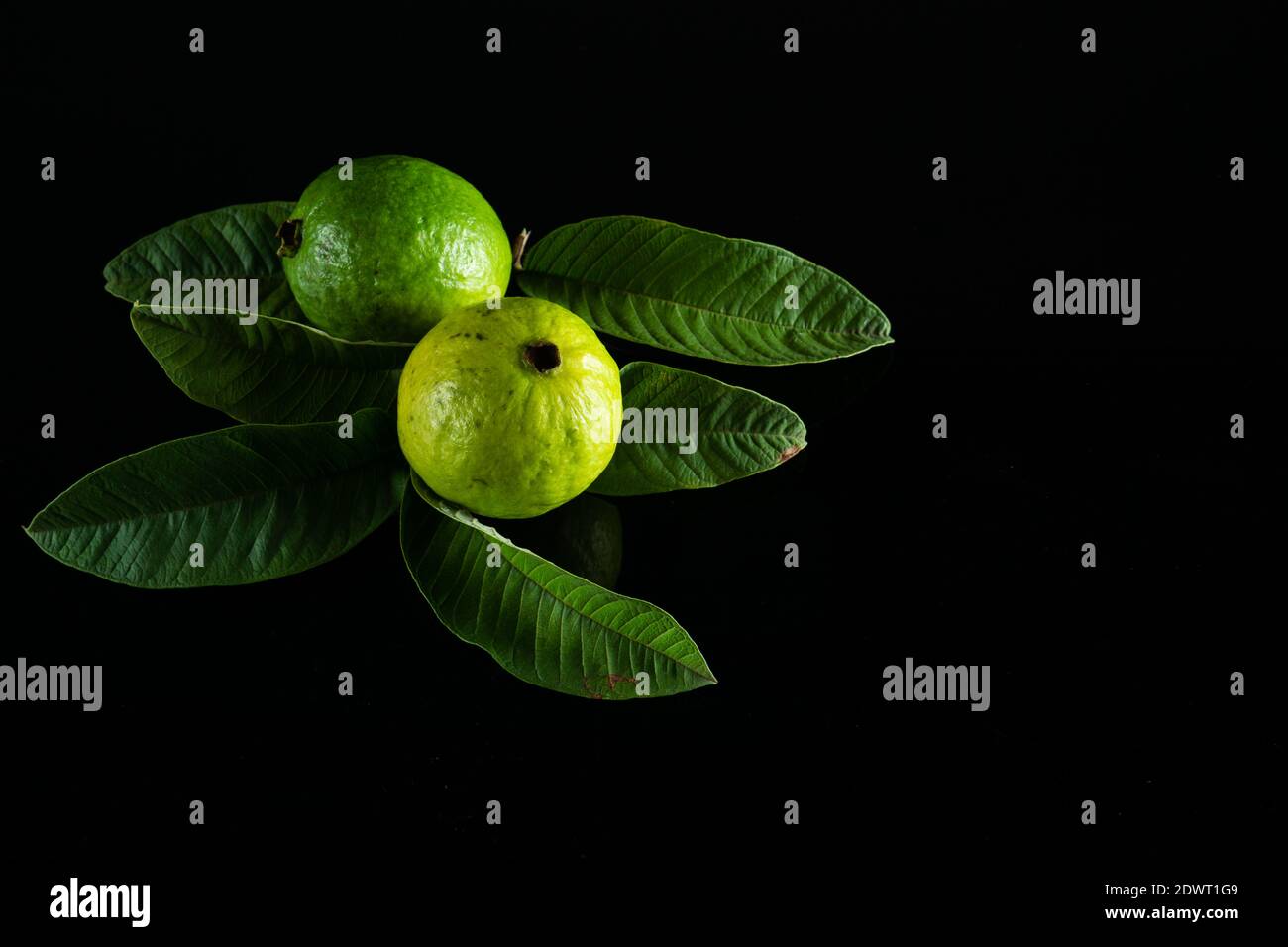 Fresh vitamin-rich Guava fruit and its leaves on a black background Stock Photo