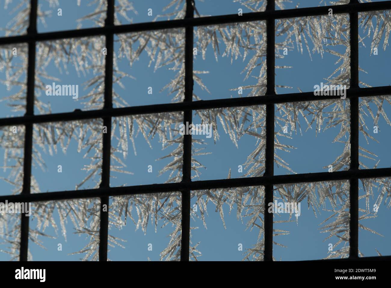 A closeup of frozen winter window with square-shaped metal lattice Stock Photo