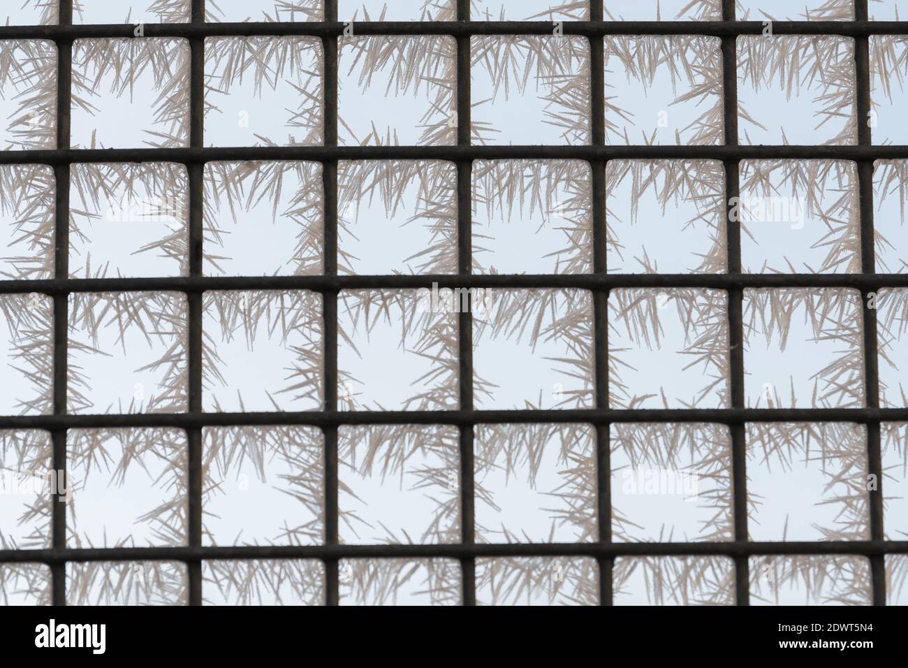 A closeup of frozen winter window with square-shaped metal lattice Stock Photo