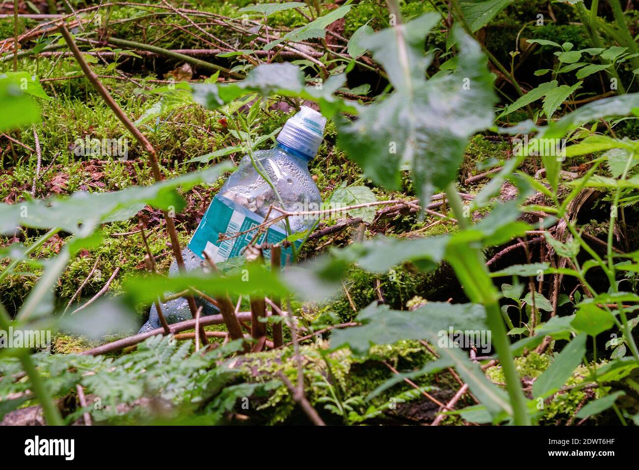 Weggeworfene Plastikflasche Stock Photo