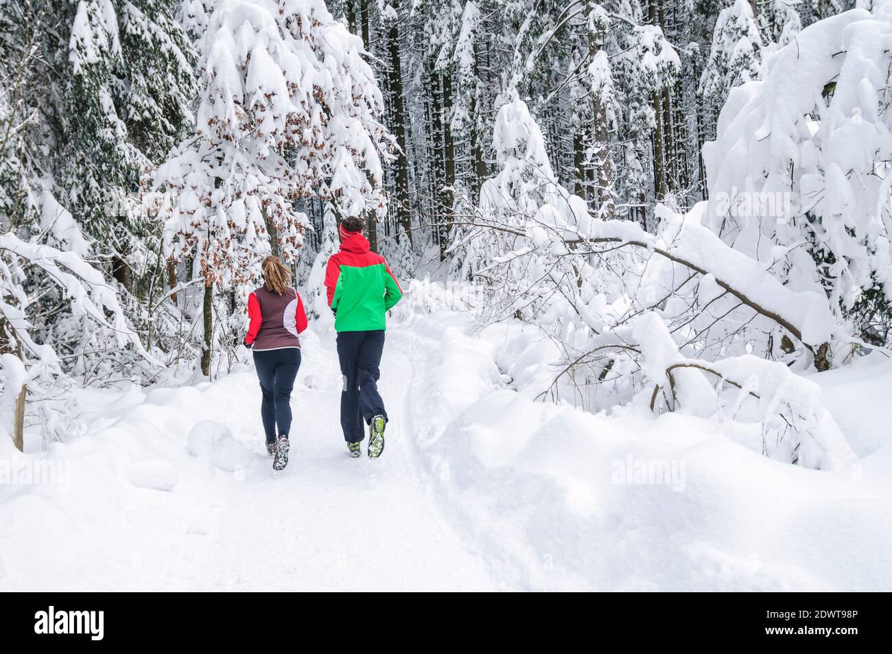 Two joggers during running workout in wintry nature Stock Photo