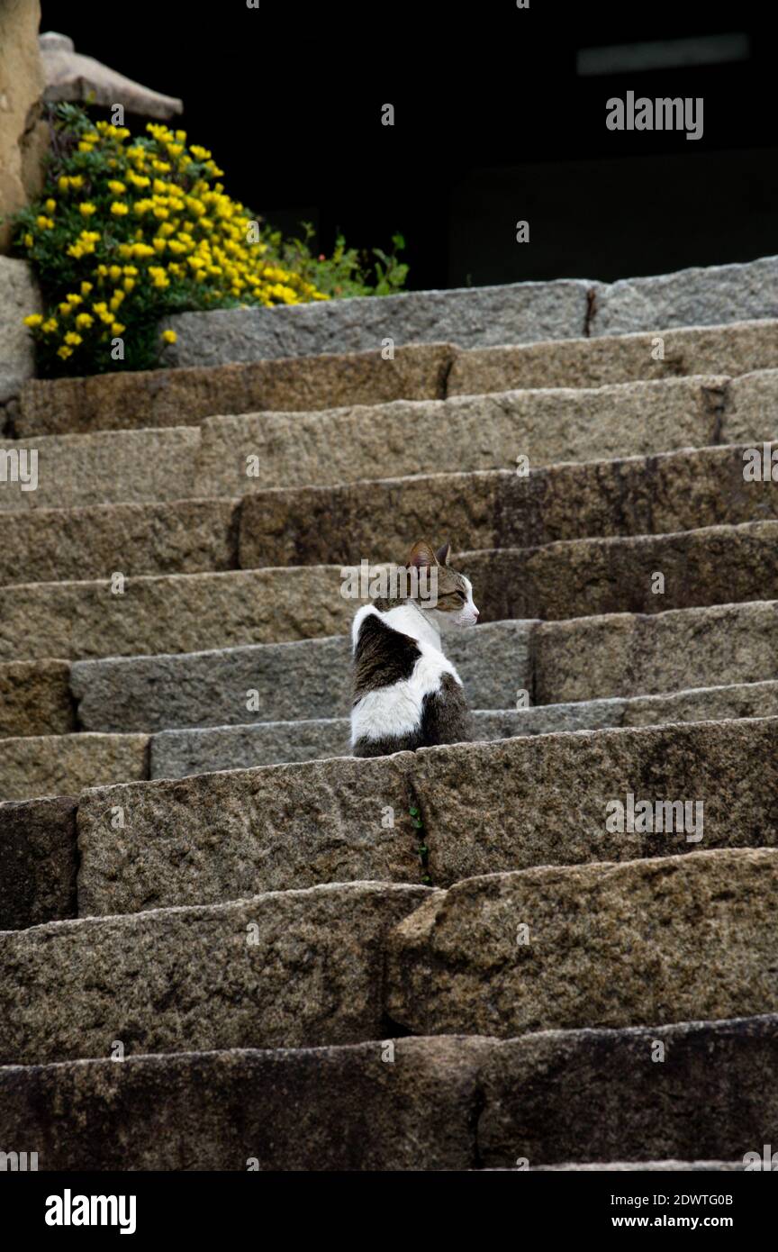 Fukuyama temple hires stock photography and images Alamy