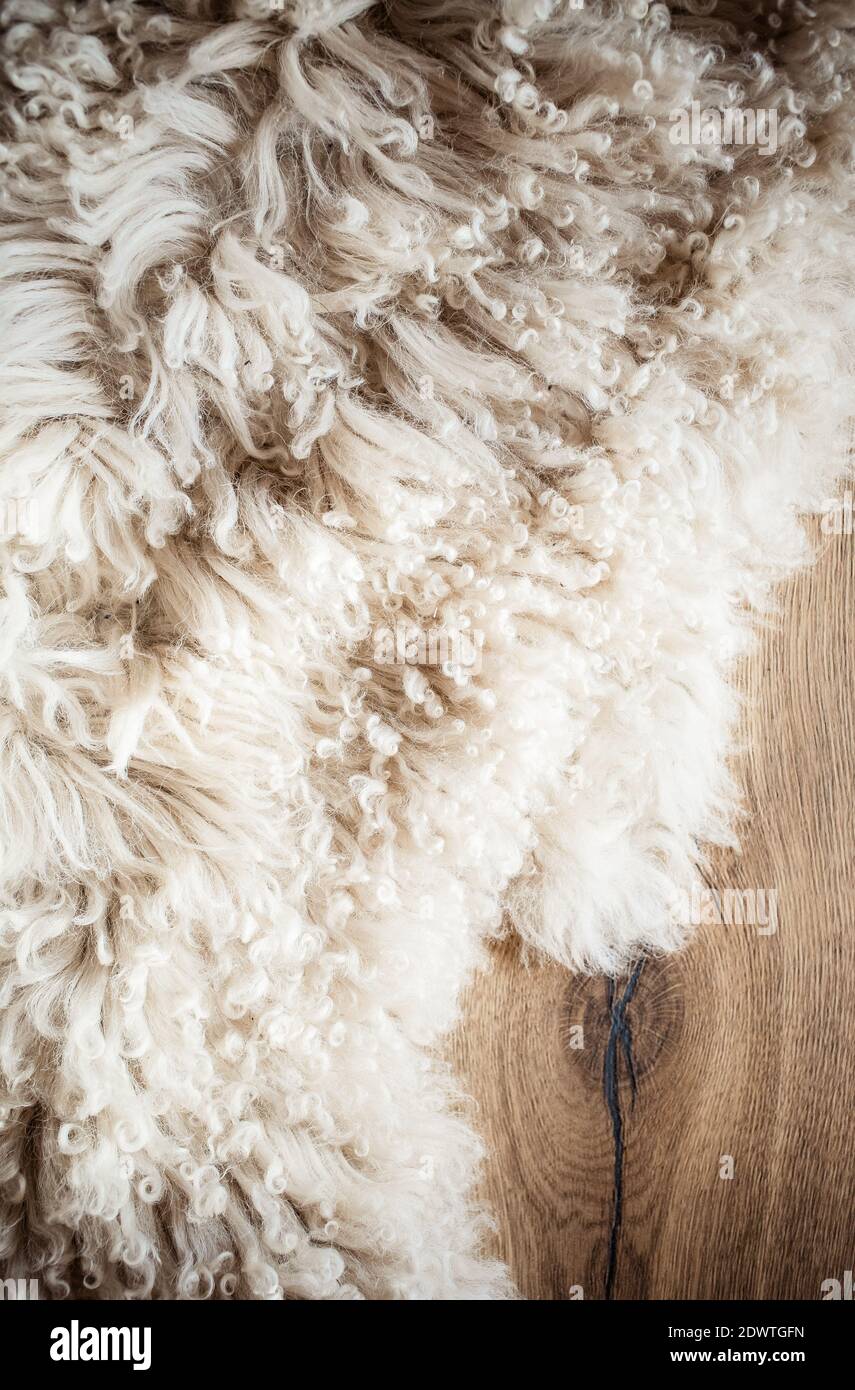Sheep Rug Texture sheepskin rug texture hygge concept Stock Photo - Alamy