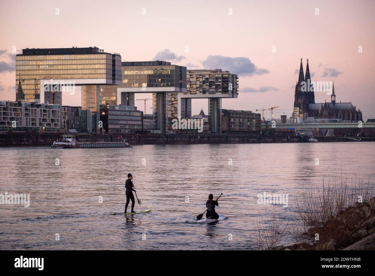 view over the Rhine to the Kranhaeuser (Crane Houses) in the Rheinau harbour and the cathedral, stand-up-paddler, Cologne, Germany.  Blick ueber den R Stock Photo