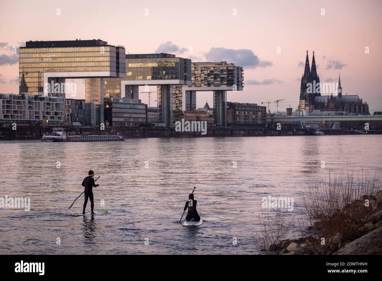 view over the Rhine to the Kranhaeuser (Crane Houses) in the Rheinau harbour and the cathedral, stand-up-paddler, Cologne, Germany.  Blick ueber den R Stock Photo