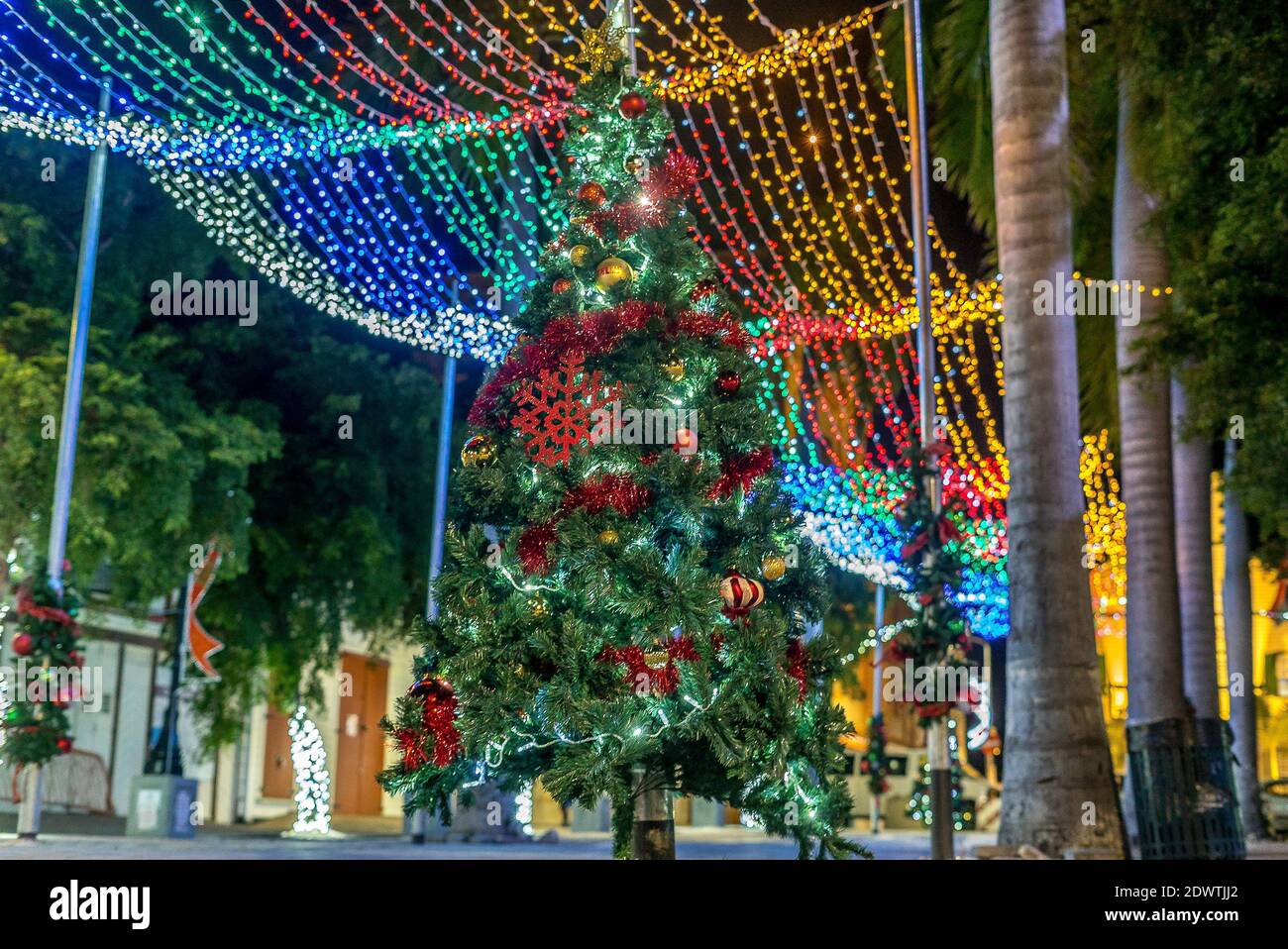 Colorful christmas light decorations on the eve of christmas day on the  caribbean island of St.Maarten Stock Photo - Alamy