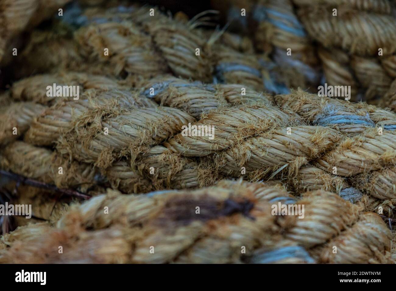 the thick ropes of the ships were washed ashore on the sea shore, forming a worn-out large rope tuft Stock Photo